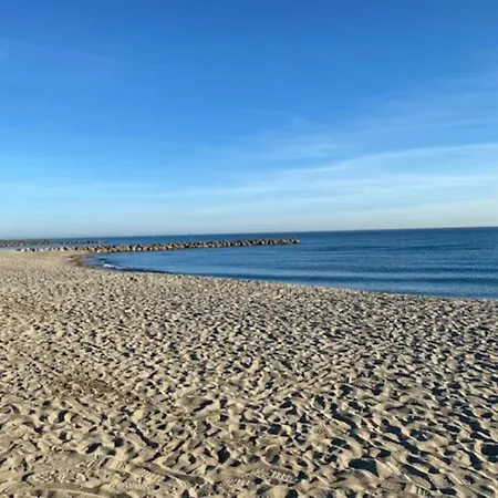 Le Neptune Place De Marbre Et Port * Saint-Cyprien (Pyrenees-Orientales)