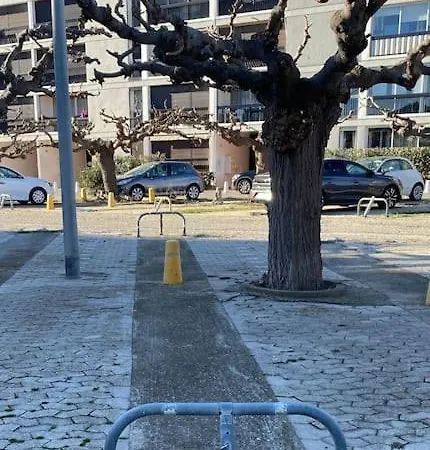 Le Neptune Place De Marbre Et Port Daire *